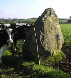 Standing Stone Tyrone-350