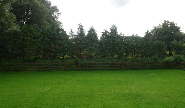 View of the back garden