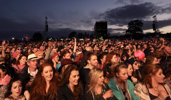 electric picnic-n