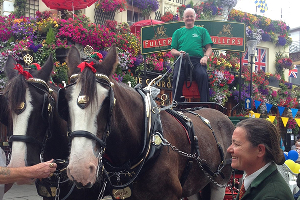 Gerry with the dray horses