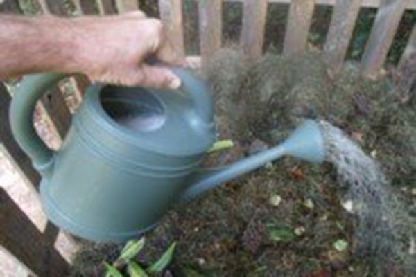 compost watering-n