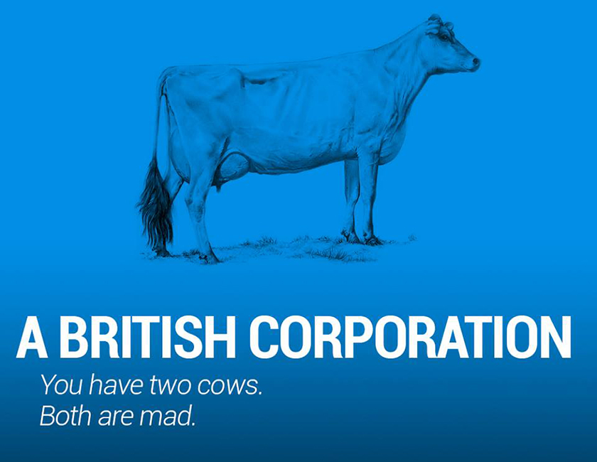 british cow-n
