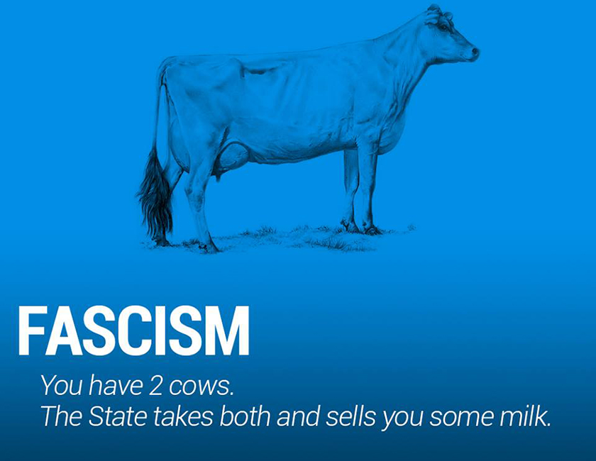 fascism cow-n