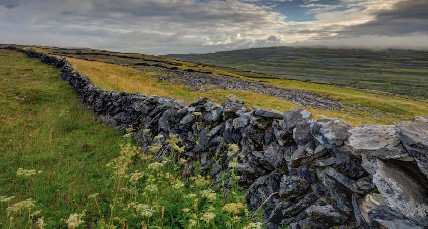 Summer morning, Gleninagh. taken from This is the Burren by Carsten Krieger, published by The Collins Press, 2015