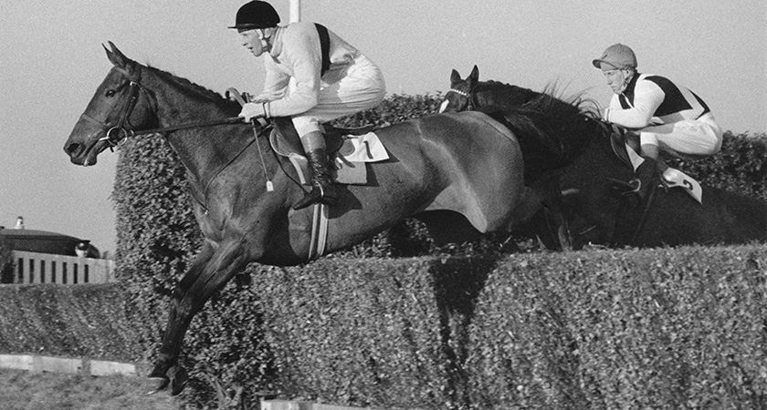 Jockey Pat Taaffe and Arkle lead D. Nicholson on Mill House on the first circuit of the Gallagher Gold Cup at Sandown Park, Surrey, 6th November 1965. Arkle won the race, with Mill House in third place. (Photo by Central Press/Hulton Archive/Getty Images)