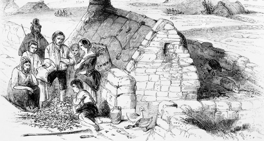 There was more to the Great Famine than one failed crop (Picture: Hulton Archive/Getty Images)