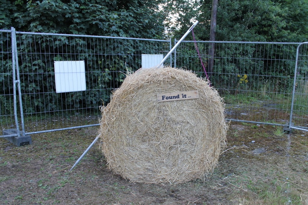 Needle in a Haystack: The festival, which attracts 19,000 people, is a huge economic benefit to the Durrow community. (Source: Emer O'Brien) 