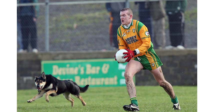 National Football League 25/2/2007 Donegal Neil Gallagher of Donegal plays on despite a dog running onto the pitch Mandatory Credit ©INPHO/Andrew Paton