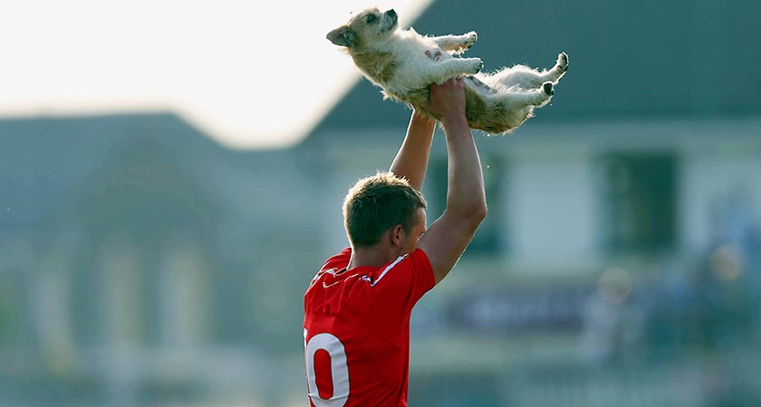 GAA Football All Ireland Senior Championship Round 2, Newbridge, Co. Kildare 13/7/2013 Kildare vs Louth Ciaran Byrne of Louth removes a stray dog from the pitch Mandatory Credit ©INPHO/Donall Farmer