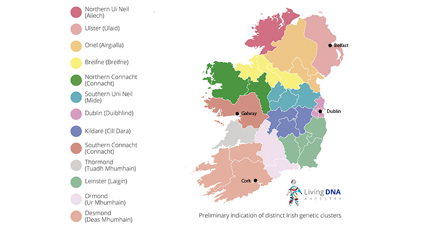 Living DNA's preliminary genetic map of Ireland [Picture: David Nicholson]