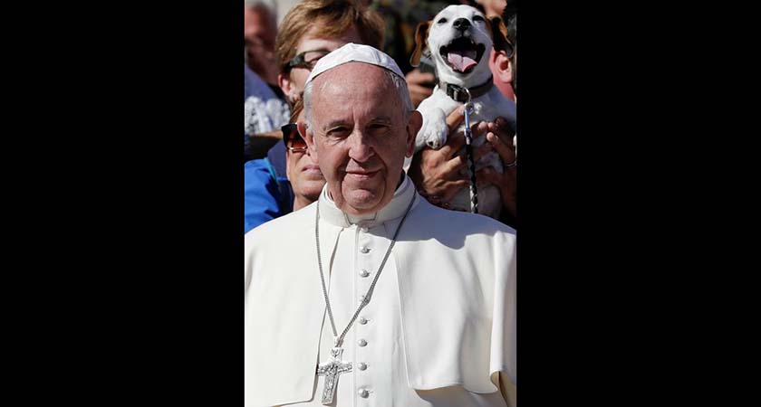 The canine photobomb popped up over Pope Francis' shoulder at a blessing in the Vatican this week. (Source: Twitter) 