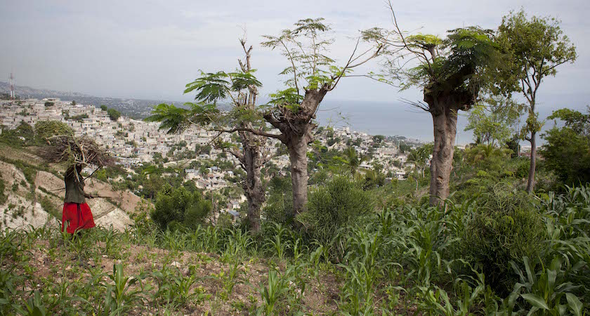 Mary France Dorlas: lives in Grand Ravine and has received seeds, tools and training so she can farm land at the top of the ravine. Port au Prince, Haiti. Her mother is called Fleria and her husband Navial.