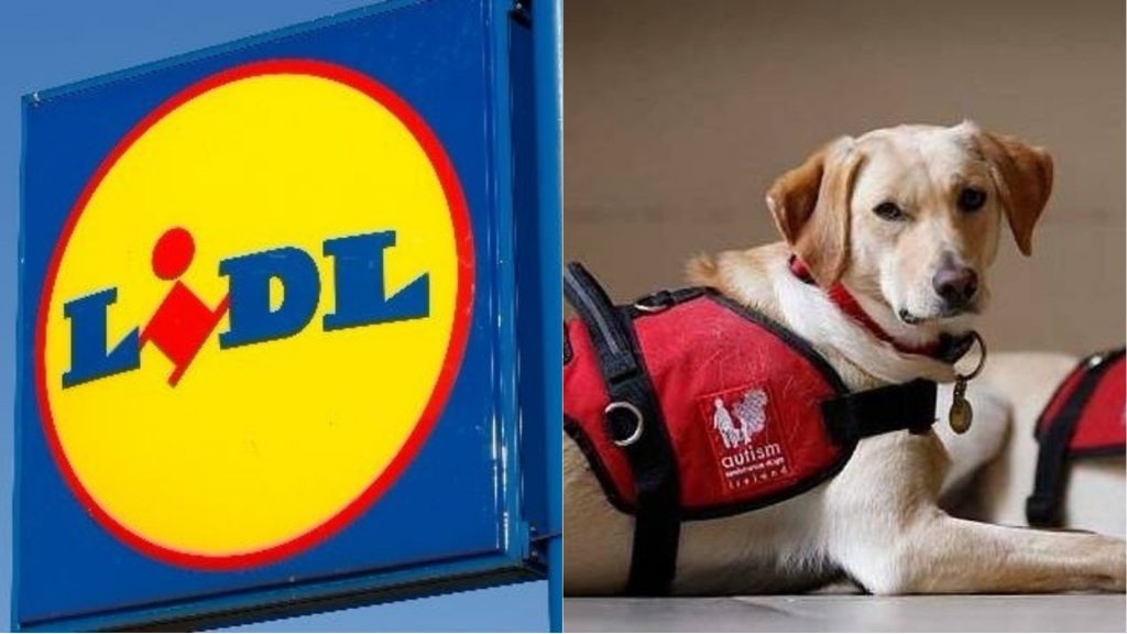 lidl dog jumper