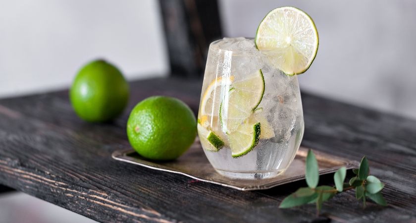 Dream job advert offering chance to travel the world drinking gin