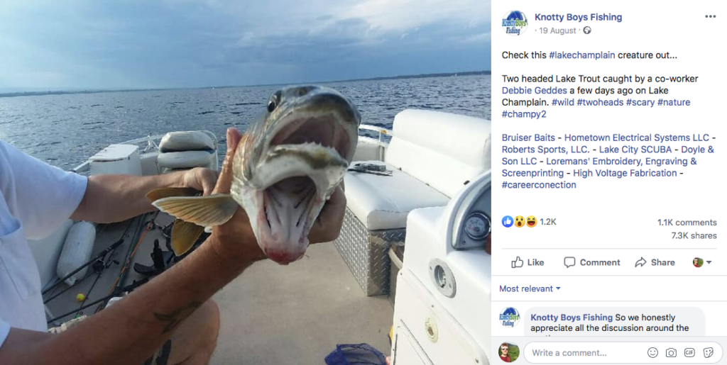 Woman Catches Two-Headed Fish In Lake Champlain