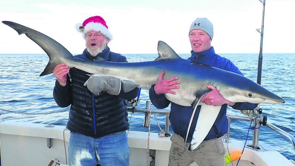 David Edwards catches Blue Shark