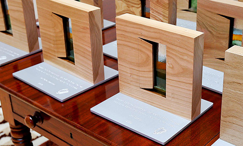 PDSA Award designed by Spear Product Design