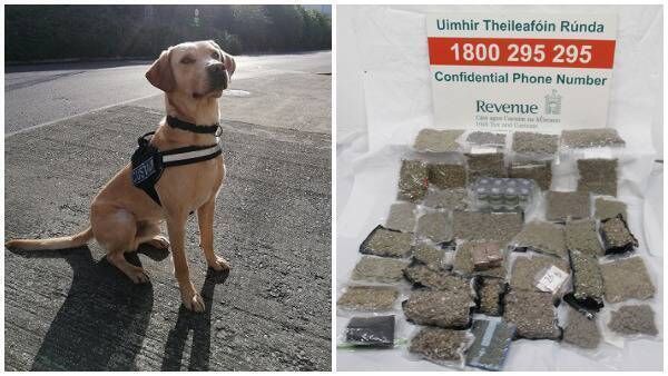 Drugs discovered by Dublin Mail Centre